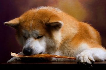 imtoken国际版下载