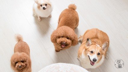 imkey硬件钱包是什么意思