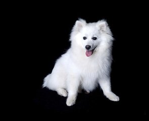 imkey的最新版本