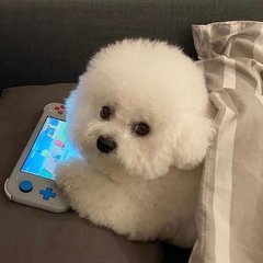 imkey硬件钱包私钥