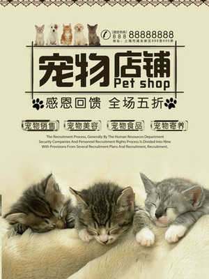 usdt充值教程