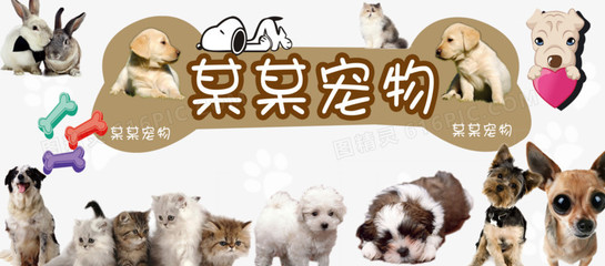 imkey可以买吗